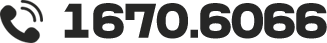 1670-6066
